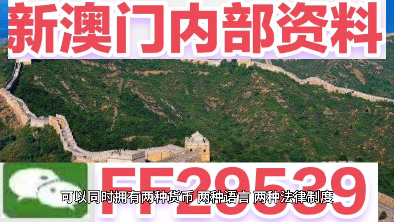 新澳門今晚開獎結果號碼查詢表，探索彩票世界的神秘面紗，新澳門今晚開獎結果號碼查詢表，揭開彩票世界的神秘面紗