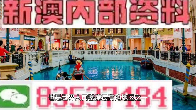 新澳門免費精準(zhǔn)龍門客棧管家婆，探索澳門旅游的新體驗，澳門旅游新體驗，龍門客棧管家婆揭秘免費精準(zhǔn)攻略
