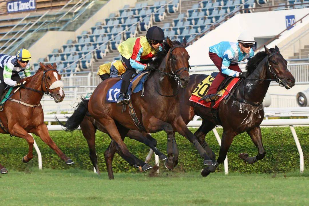 香港馬，77777與88888的傳奇故事，香港賽馬傳奇，77777與88888的傳奇篇章