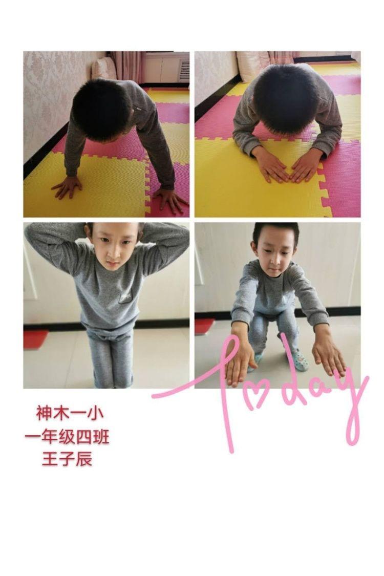 新天天彩免費資料大全，探索與解析，新天天彩免費資料大全，深度探索與解析