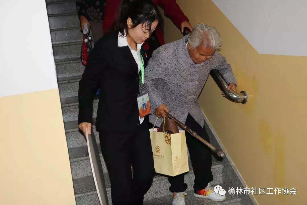 天天免費(fèi)資料彩票大全，探索彩票世界的奧秘與機(jī)遇，天天免費(fèi)資料彩票大全，揭秘彩票世界的奧秘與機(jī)遇