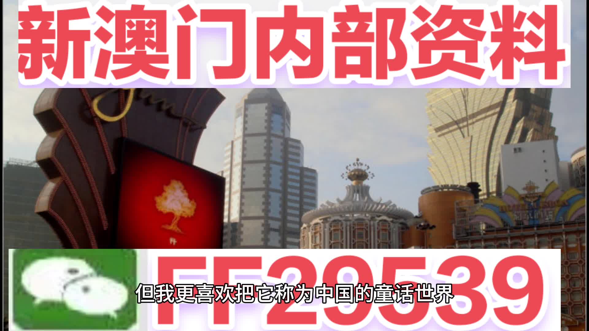 澳門六肖中特馬，探索與揭秘，澳門六肖中特馬，揭秘與探索之旅