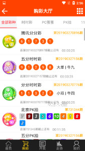 揭秘493333王中王中的開獎(jiǎng)特色，揭秘493333王中王彩票開獎(jiǎng)特色