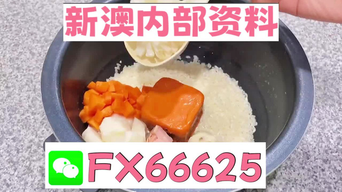 新奧精準(zhǔn)免費(fèi)資料提供，探索與啟示，新奧精準(zhǔn)免費(fèi)資料探索，啟示與分享