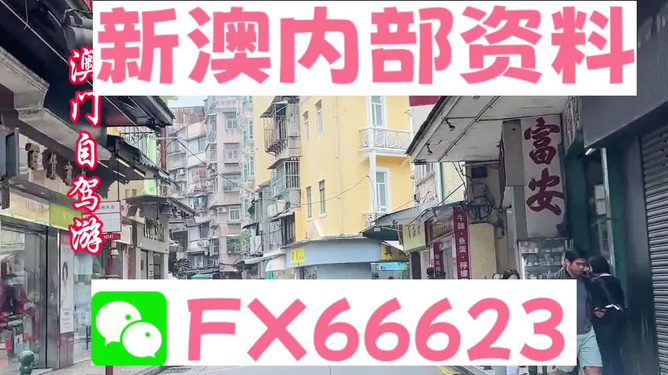 探索未來，關于2025新澳精準資料的免費獲取之道，探索未來，免費獲取2025新澳精準資料之道