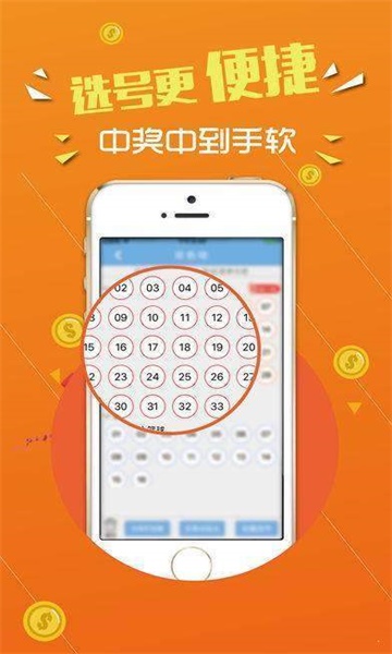 王中王論壇，心水交匯的智慧之地，王中王論壇，智慧交匯的心靈之地