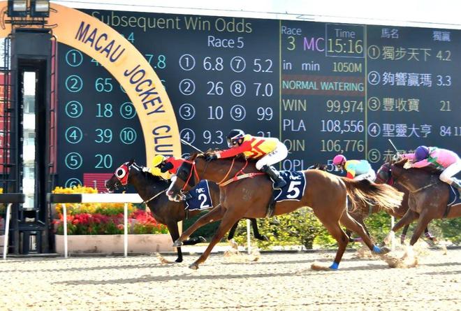 澳門馬免費(fèi)料期期公開，探索背后的真相與意義，澳門馬免費(fèi)料期期公開背后的真相與意義探索