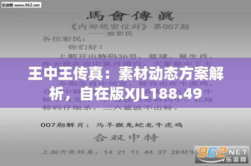 探索正版王中王，數(shù)字背后的故事與意義，正版王中王，數(shù)字背后的故事與深意