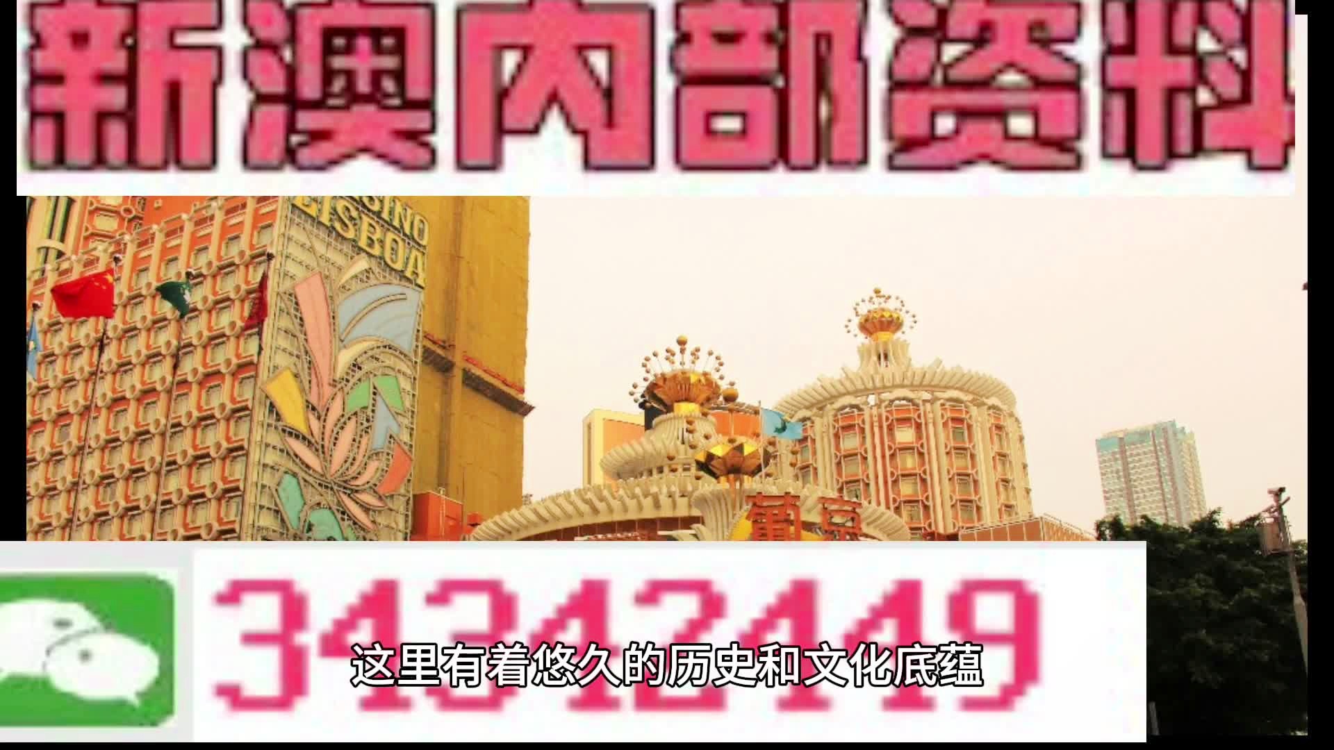 新門內(nèi)部免費資料大全，探索與啟示，新門內(nèi)部資料探索與啟示，免費資料大全