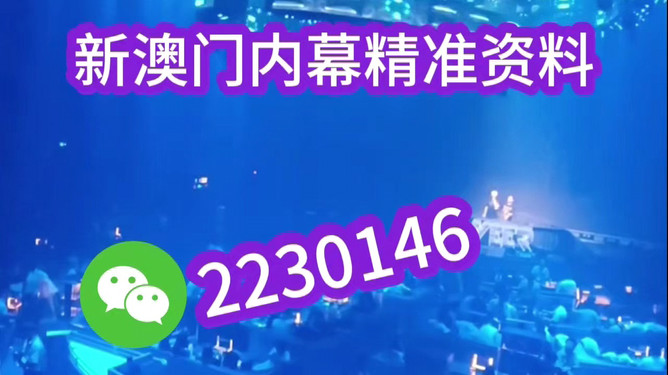 新澳門(mén)內(nèi)部精準(zhǔn)公開(kāi)的多元發(fā)展與進(jìn)步，澳門(mén)多元發(fā)展與進(jìn)步的精準(zhǔn)公開(kāi)觀察