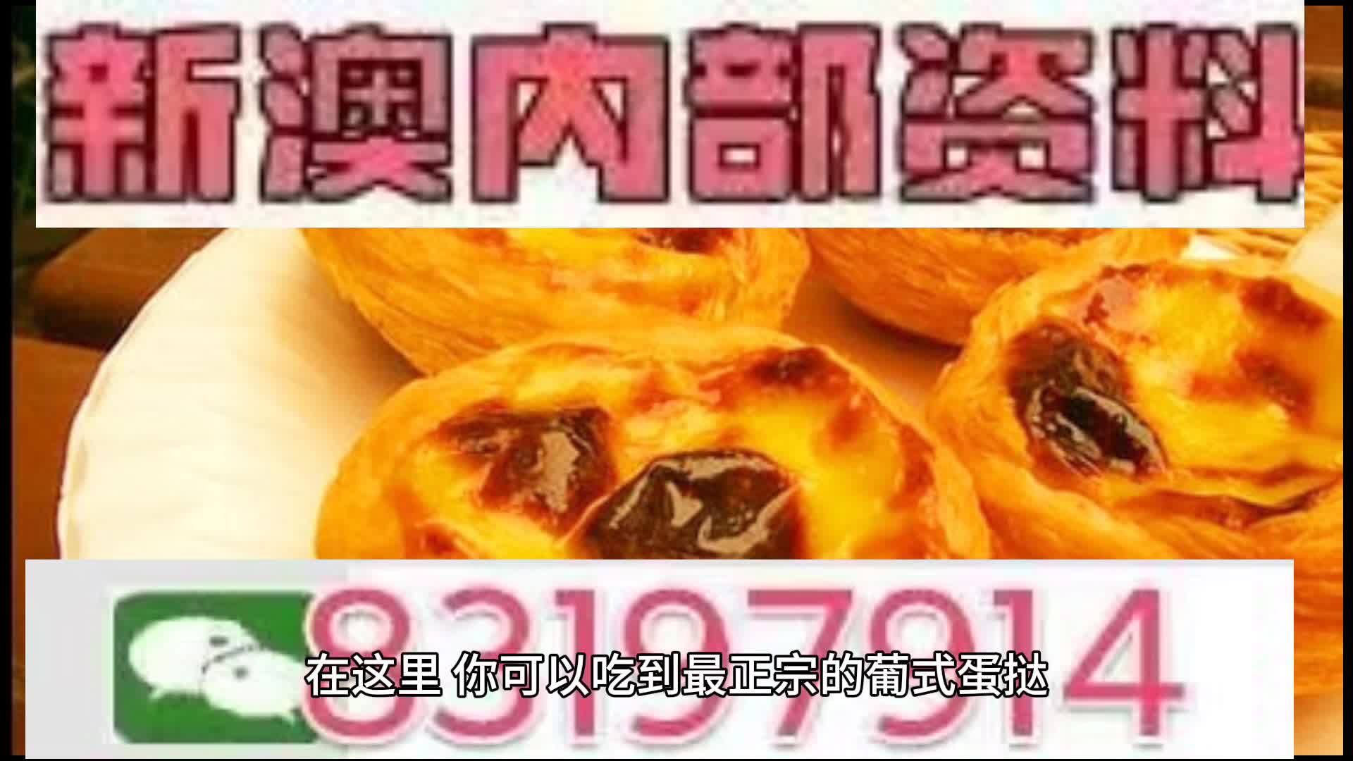 探索未來的澳門，新澳門中特網的發(fā)展與展望，澳門未來探索，新澳門中特網的發(fā)展展望