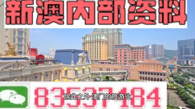 新澳門內(nèi)部精準公開的多元發(fā)展與活力展望，澳門多元發(fā)展的活力展望與內(nèi)部精準公開新動向