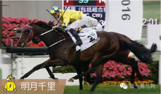 香港馬，77777與88888的傳奇故事，香港賽馬傳奇，77777與88888的傳奇篇章