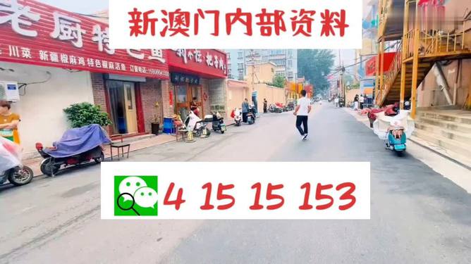 新奧天天開好彩大全——邁向成功的關(guān)鍵所在，新奧天天開好彩大全，成功之關(guān)鍵所在
