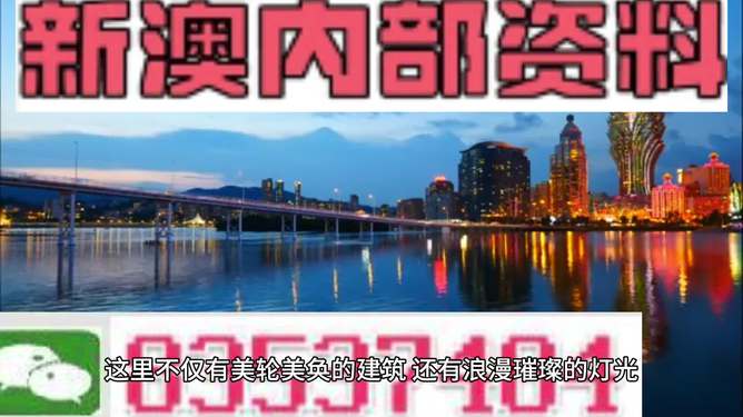 新澳新澳門正版資料的深度解析，澳門正版資料深度解析與解讀