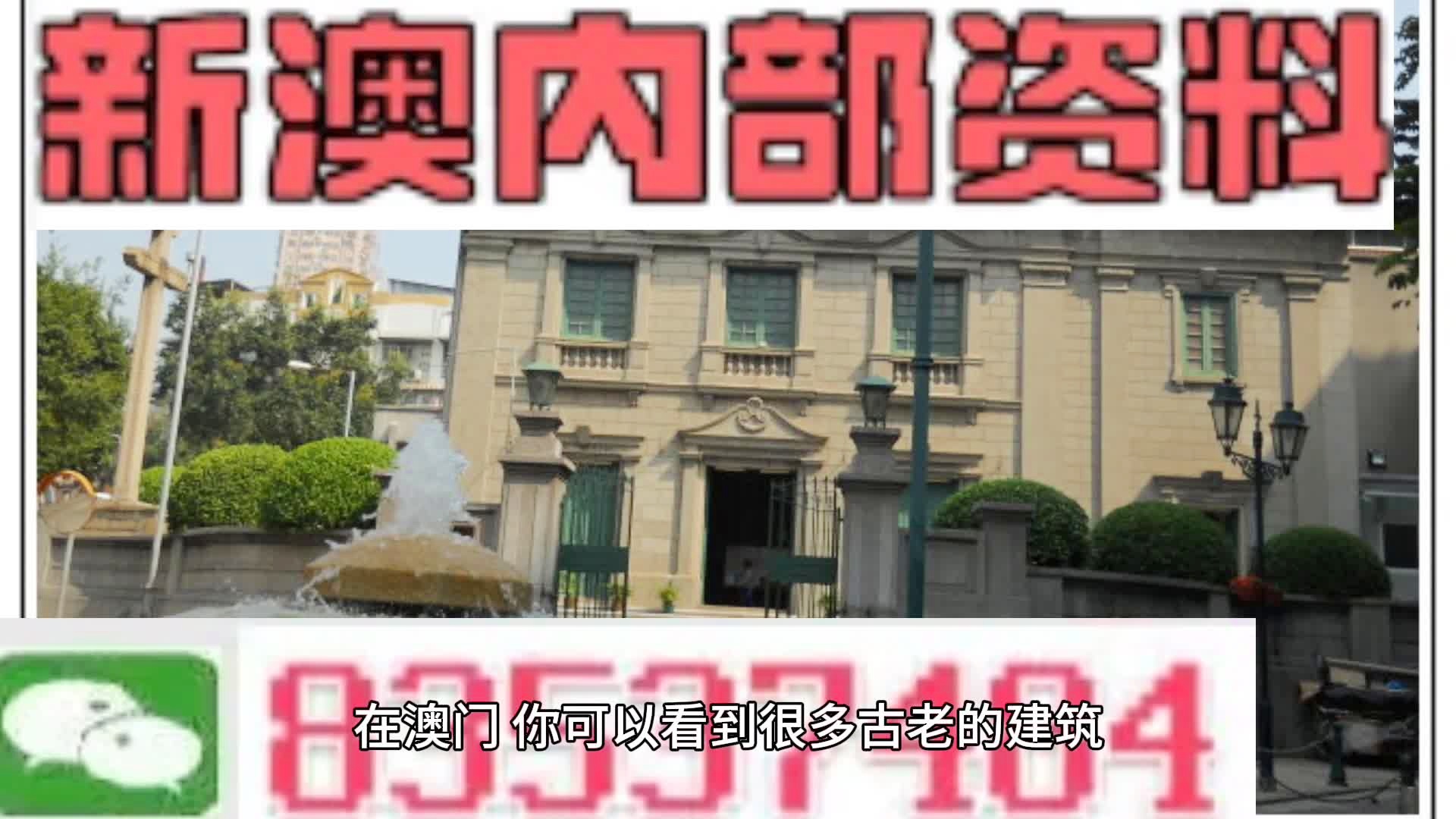 新門內(nèi)部免費(fèi)資料大全，探索知識的寶庫，新門內(nèi)部知識寶庫，免費(fèi)資料大全探索之旅